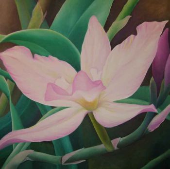 Flower1 Flower1